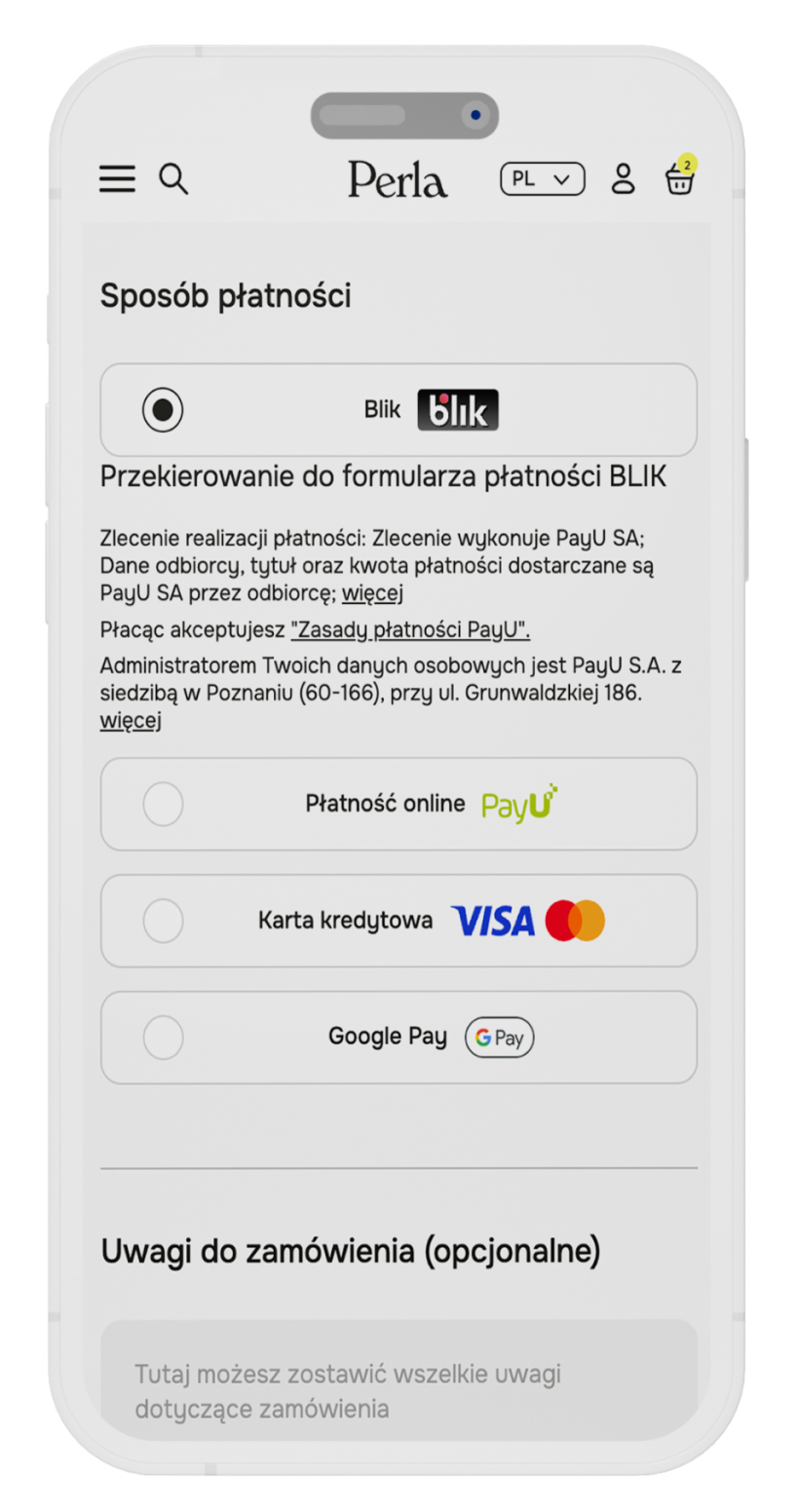 Payment options mobile design