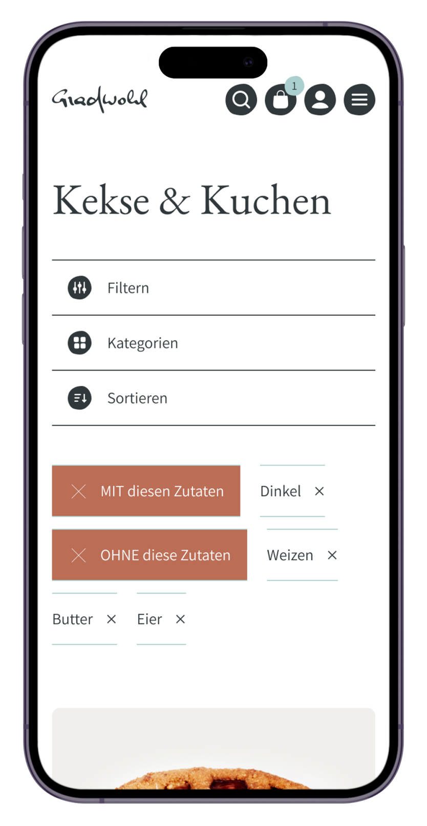 Mobile website filters mockup